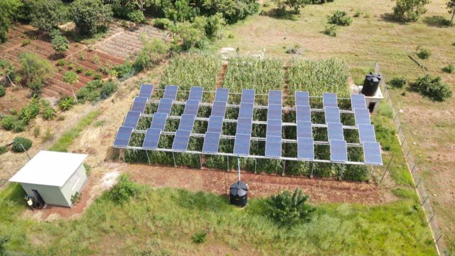 Aerial view of an off-grid agrivoltaic array shading maize on a farm in Kenya, with rainwater tanks