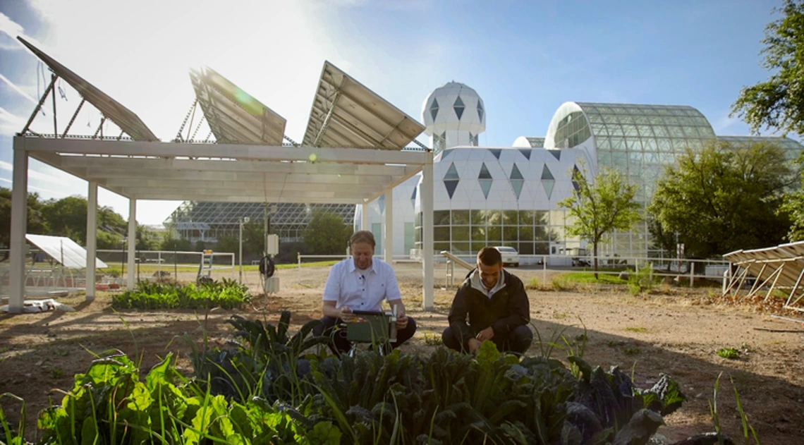 Researchers among crops beneath the elevated array at Biosphere 2