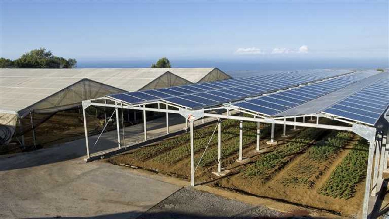 South-facing roof panels over seedling beds on a hillside greenhouse