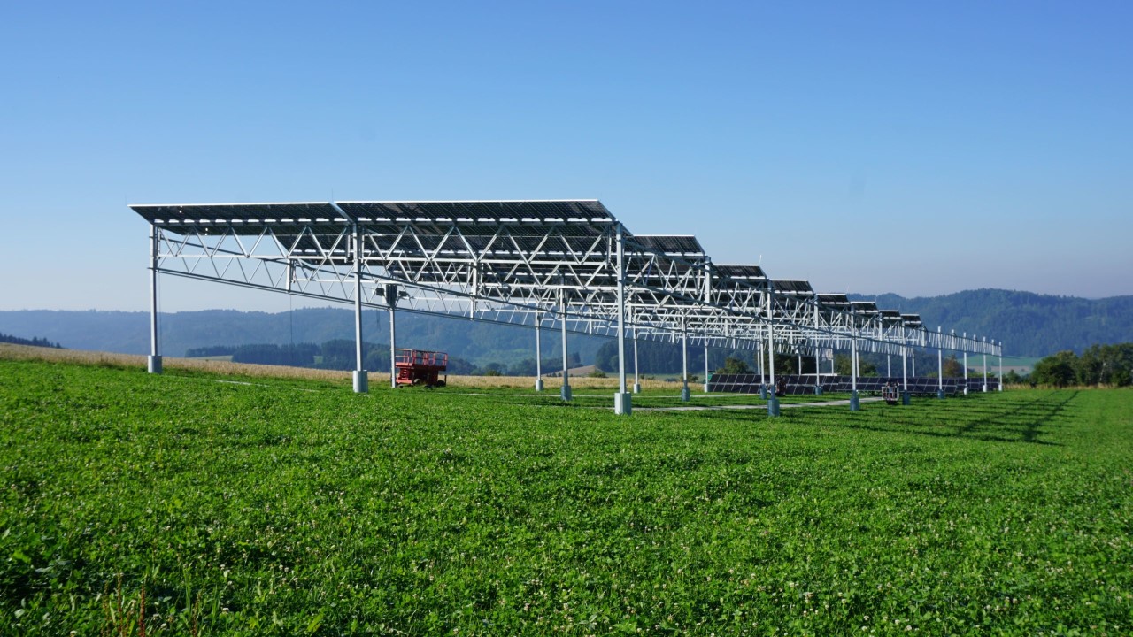 Long row of an elevated array over a green clover field