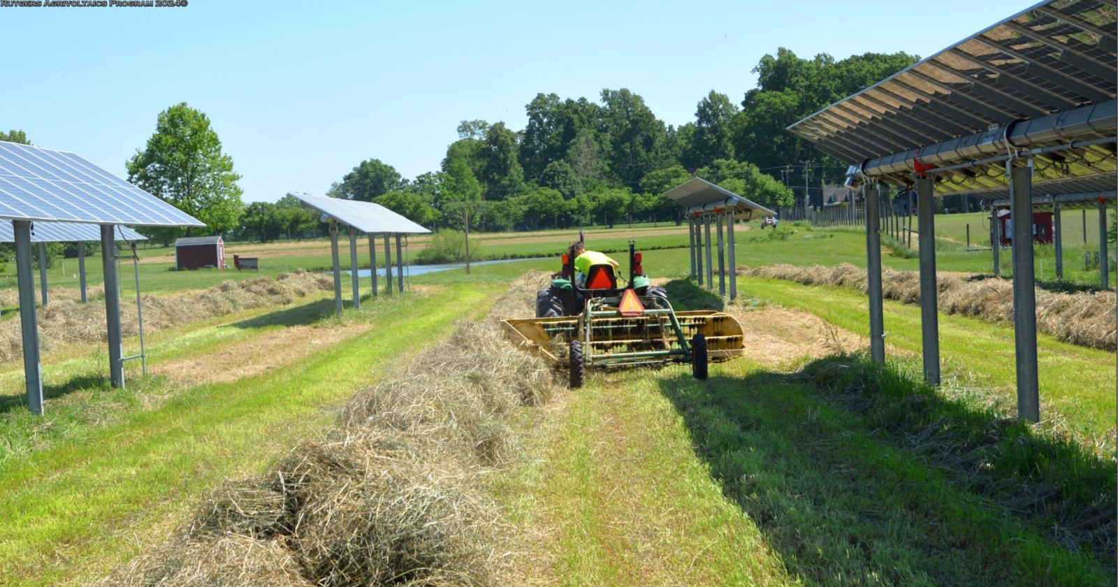 Tractor raking hay between rows of overhead panels at the Rutgers Snyder farm