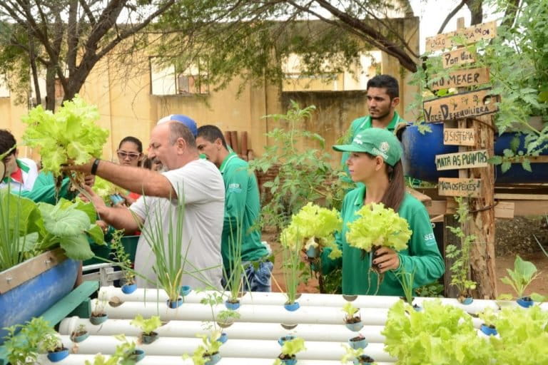 Students harvesting lettuce and herbs from the aquaponic beds of the Ecolume agrivoltaic system at the SERTA school in Pernambuco, Brazil